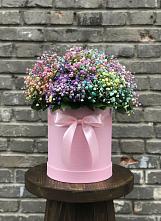 Цветочная композиция из Гипсофила и Розы в шляпной коробке #REPLACE_PRED# Сычевке
