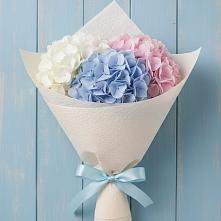 Букет цветов из:  Гортензия в Сычевке