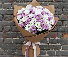 Букет цветов из:  Хризантемы в Сычевке