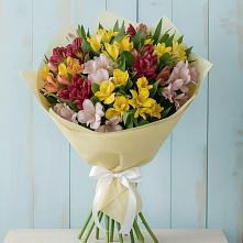 Букет цветов из:  Альстромерии в Сычевке
