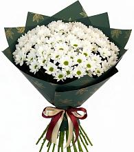 Букет цветов из:  Хризантемы в Сычевке