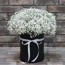 Цветочная композиция из Гипсофила в шляпной коробке в Сычевке